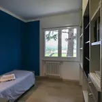 Amazing In